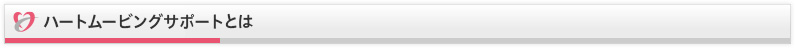 ハートムービングサポートとは